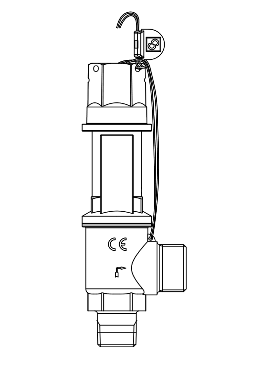 安全閥3030/66C,螺紋接口 安全閥3030/66C,螺紋接口